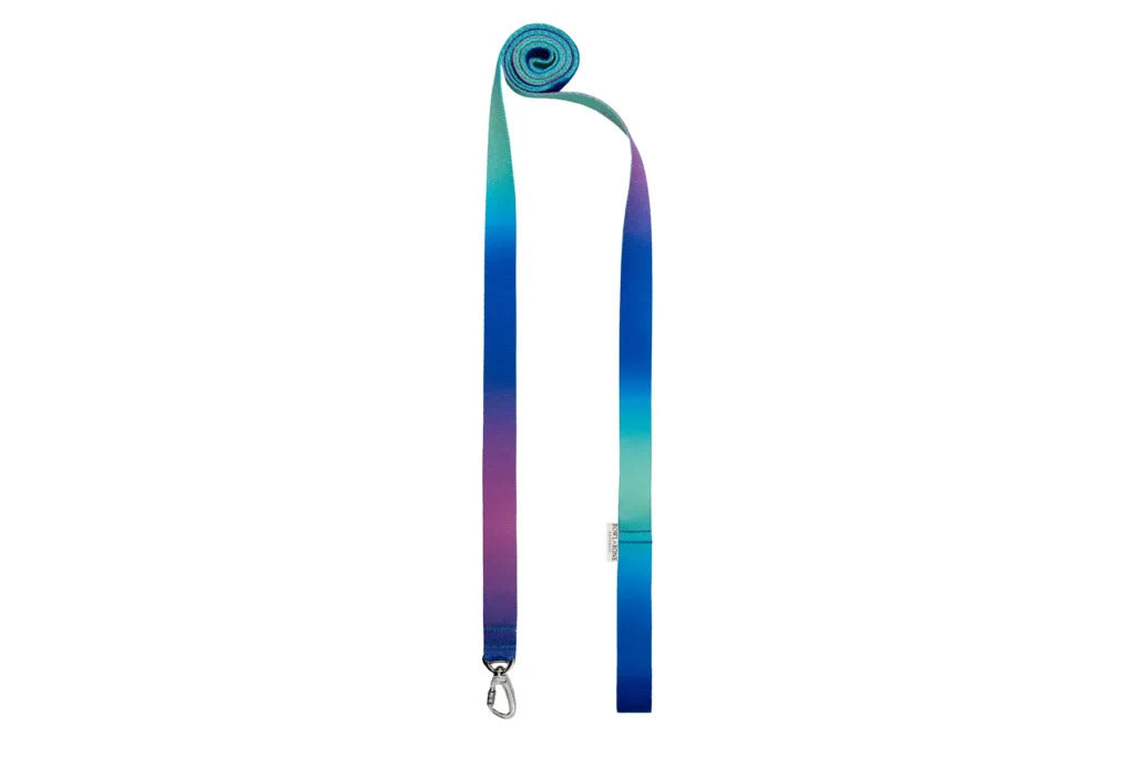 Gradient Dog Lead