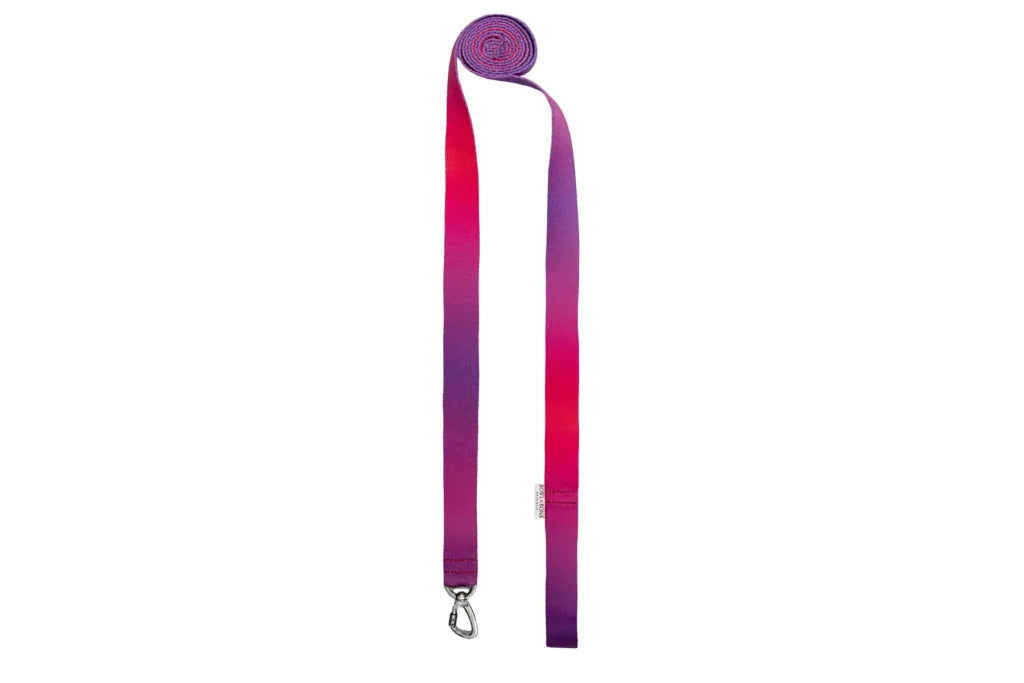 Gradient Dog Lead