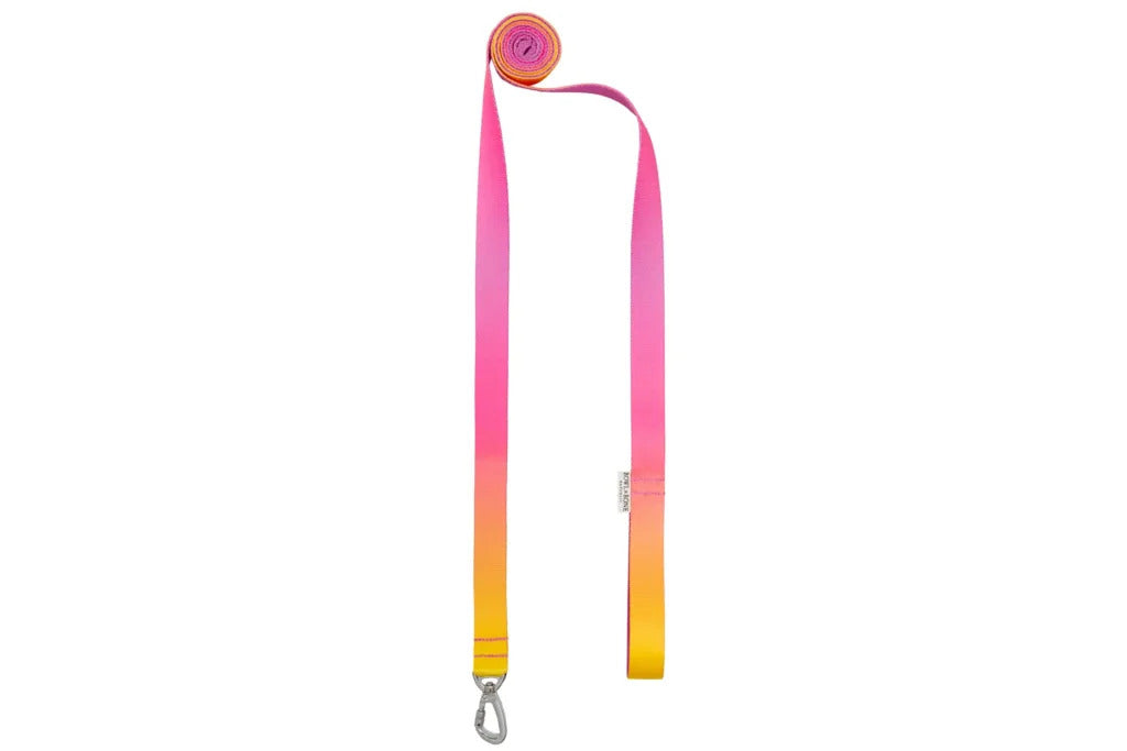 Gradient Dog Lead