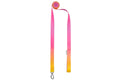 Gradient Dog Lead