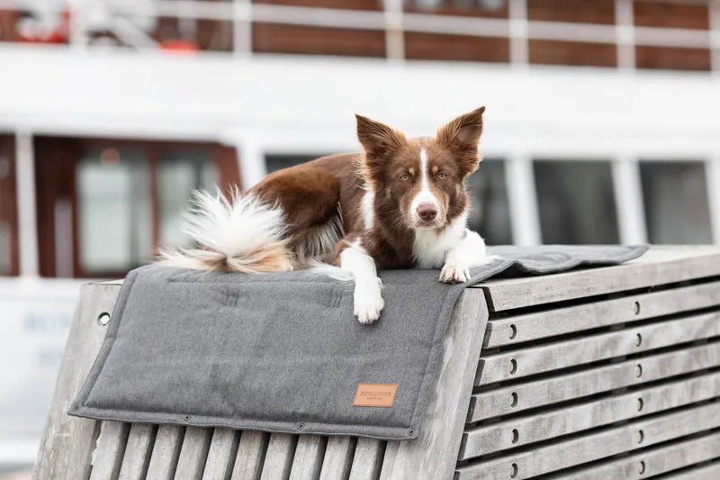 Loft Travel Dog Mat