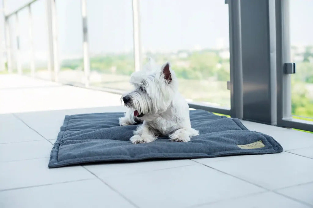 Loft Travel Dog Mat