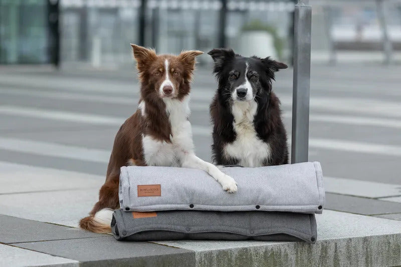 Loft Travel Dog Mat