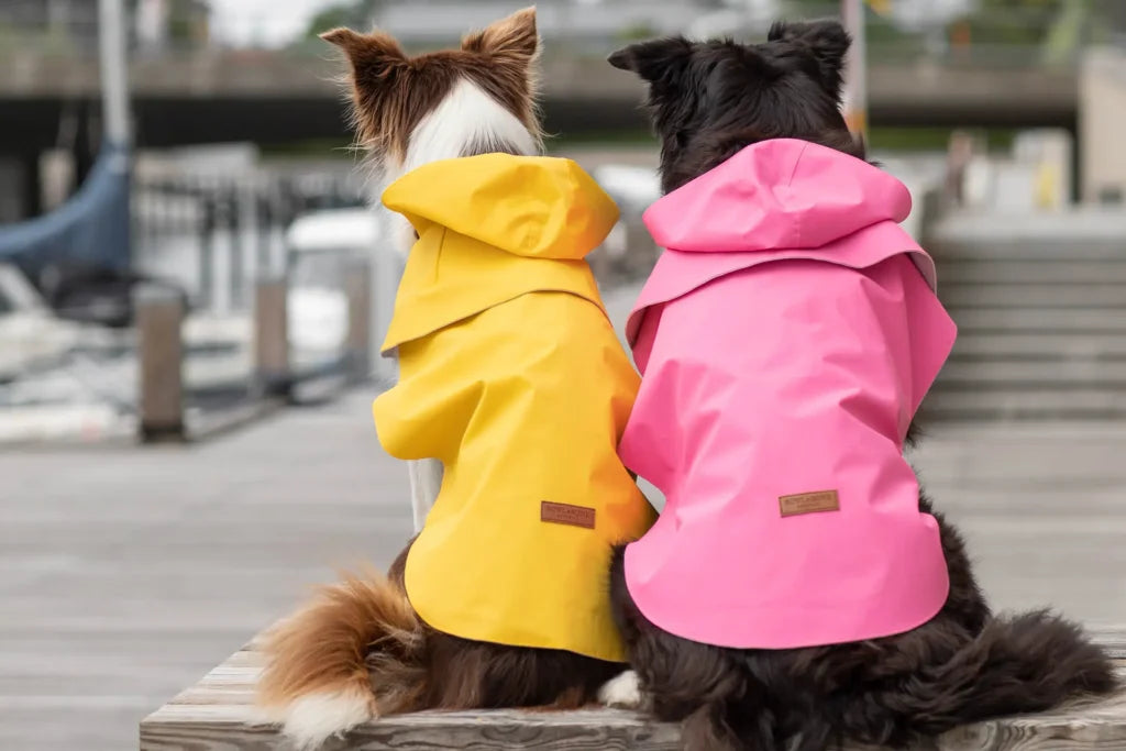 Storm Dog Raincoat