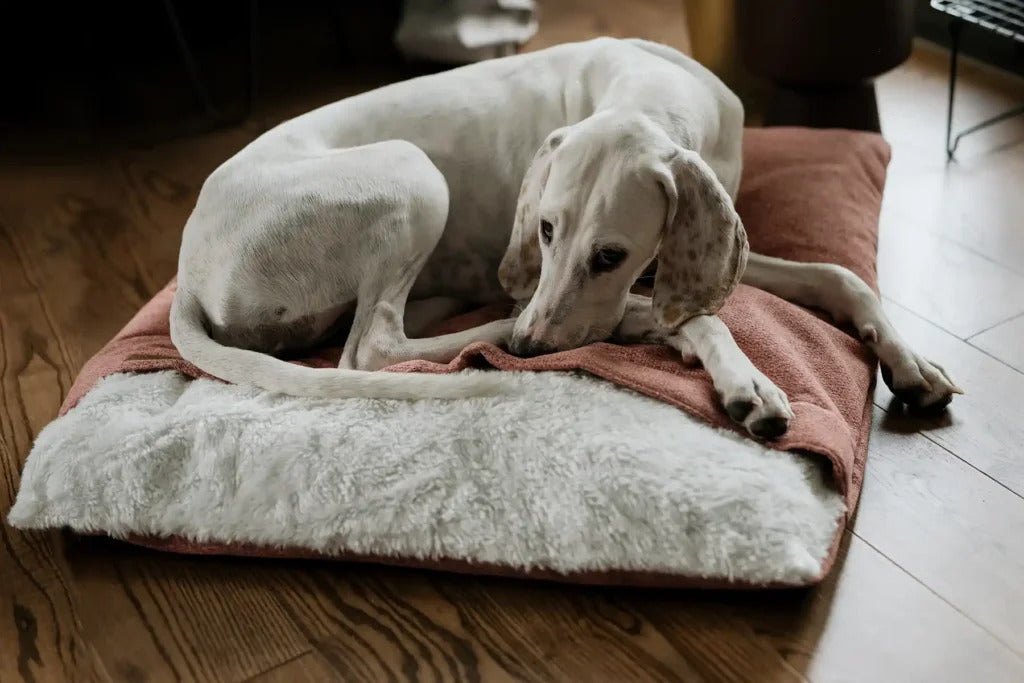 Bliss Sleeping Bag