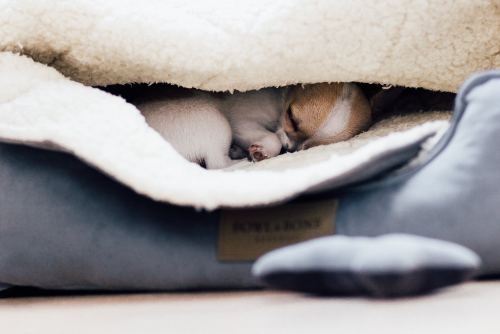 Classic Dog Bed
