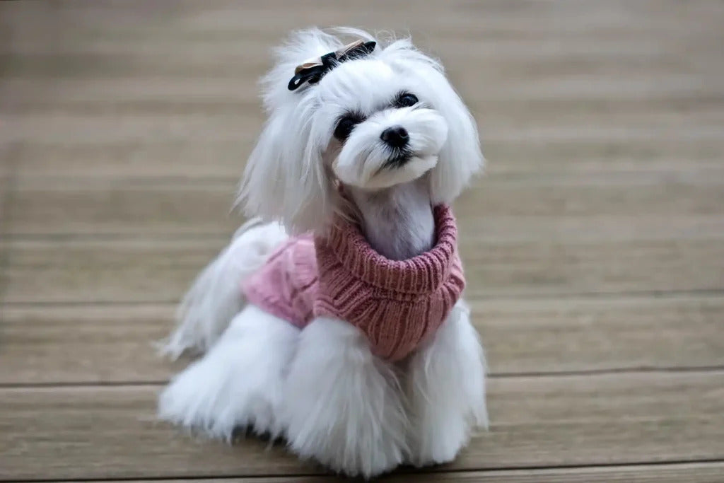 Aspen Dog Sweater