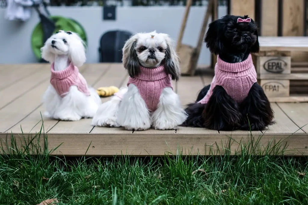 Aspen Dog Sweater