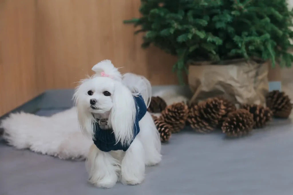 Snowflake Dog Sweater