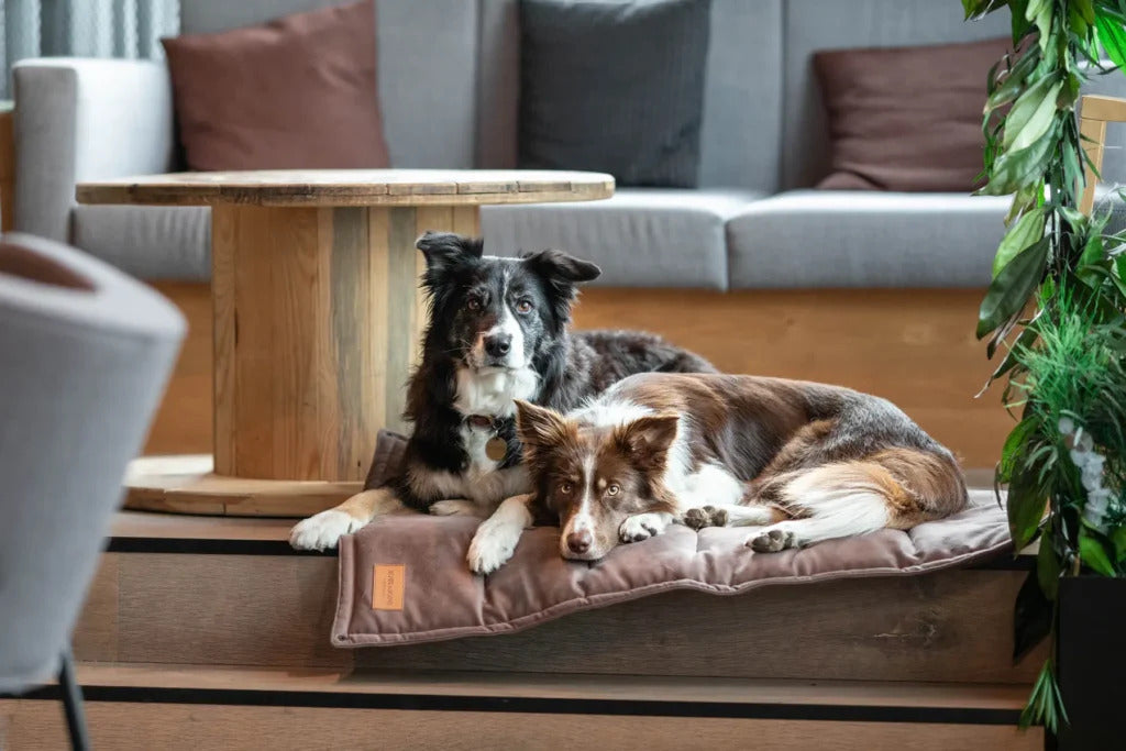 Classic Travel Dog Mat