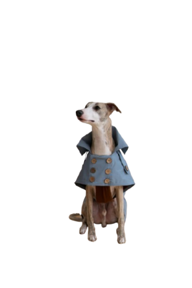 Water Repellent Trench Coat - Light Blue