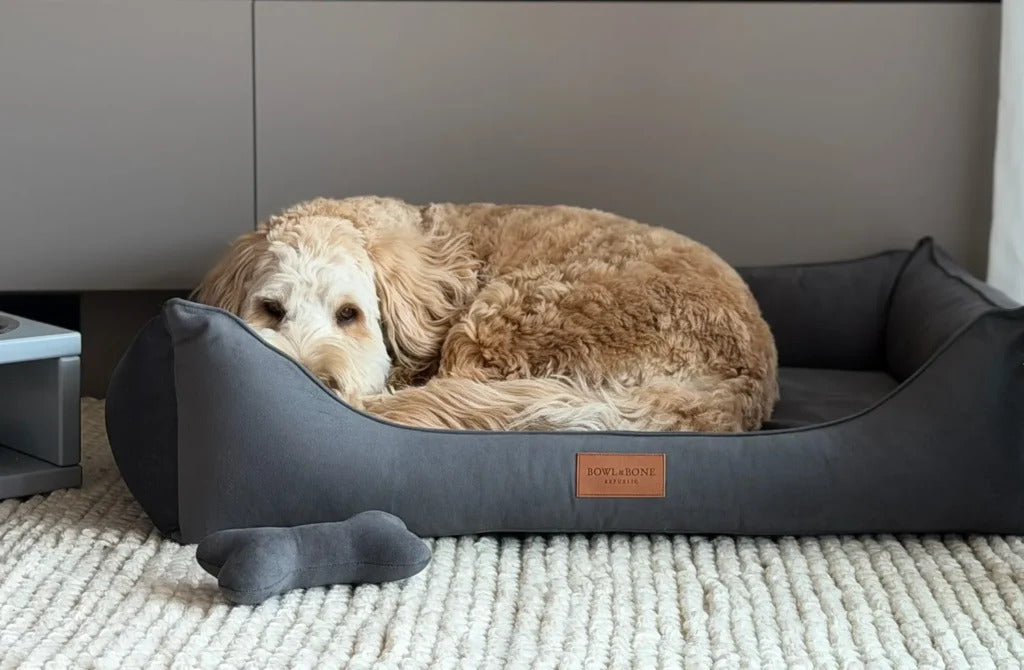 Classic Dog Bed