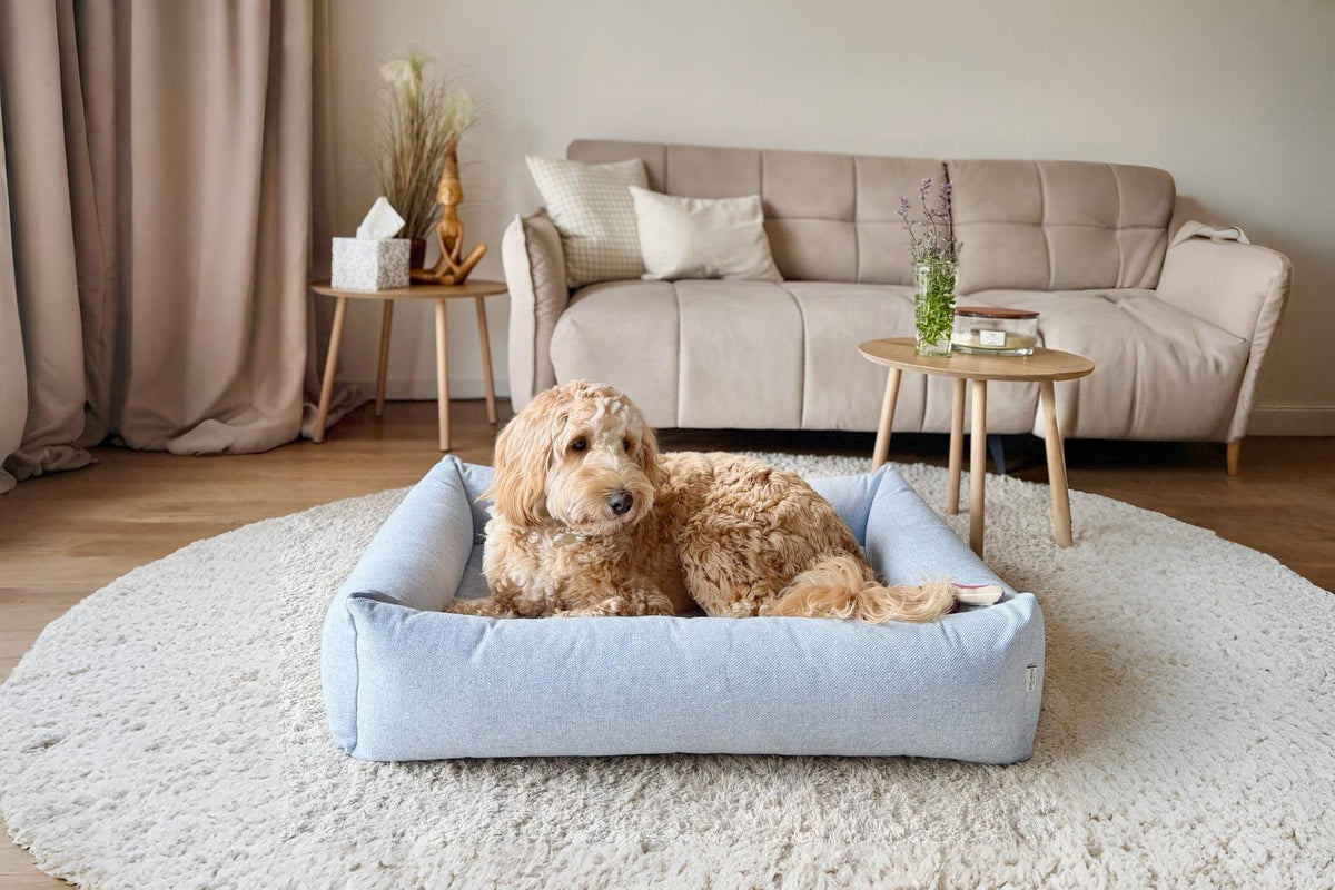 Bliss Dog Bed