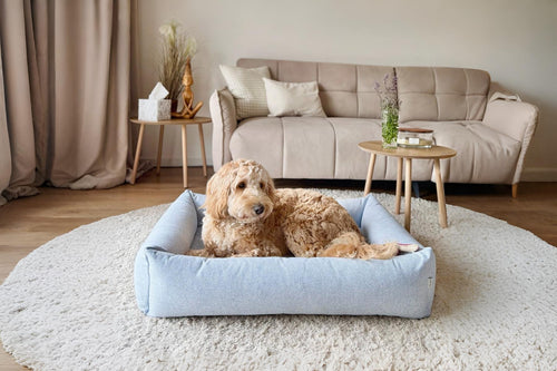 Bliss Dog Bed