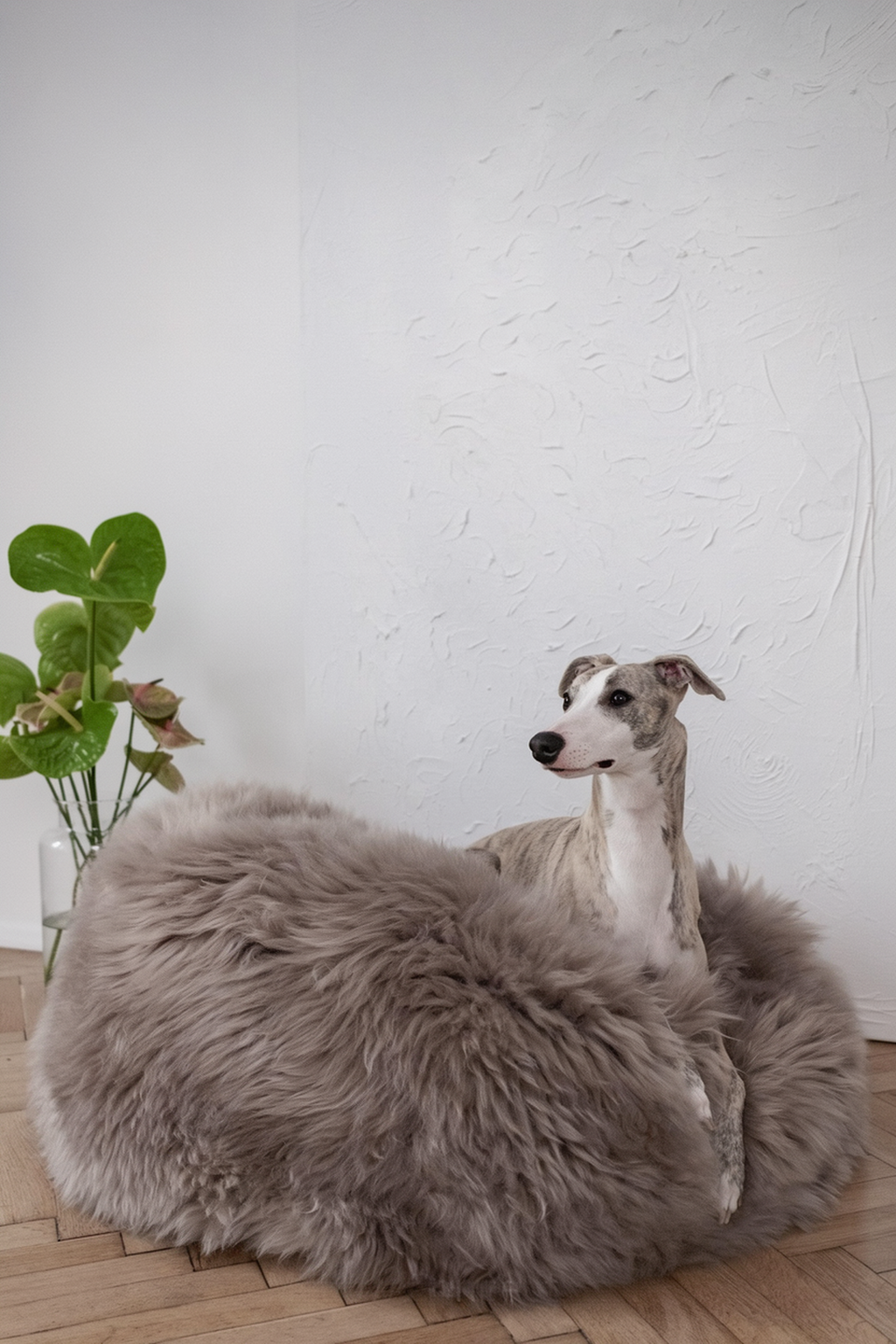 Natural Sheepskin Pet Bed - Greige