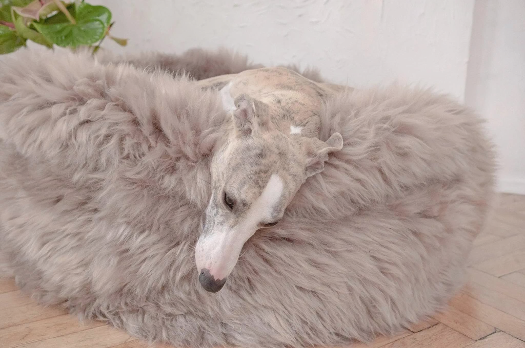Natural Sheepskin Pet Bed - Greige