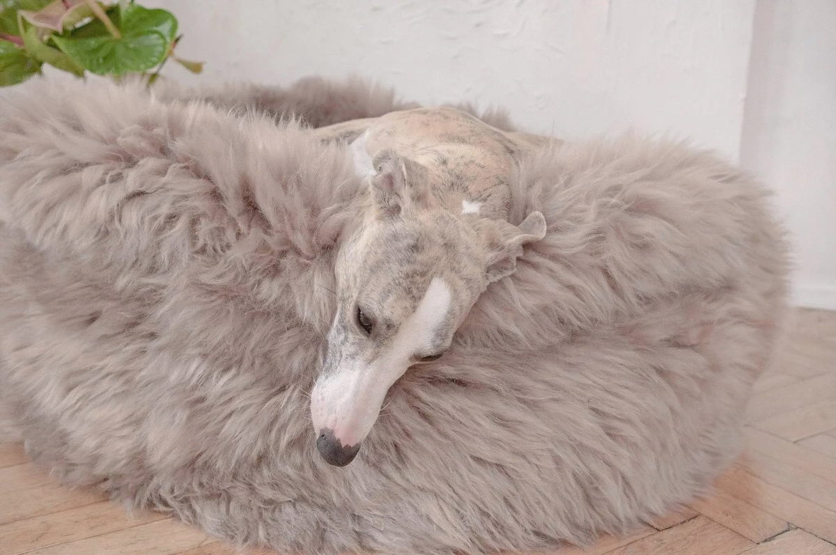 Natural Sheepskin Pet Bed - Greige