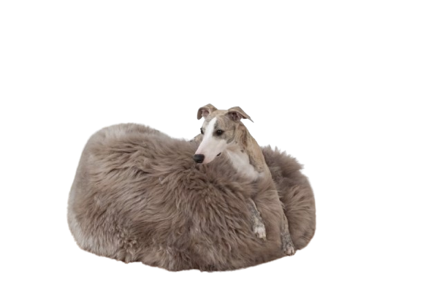 Natural Sheepskin Pet Bed - Greige