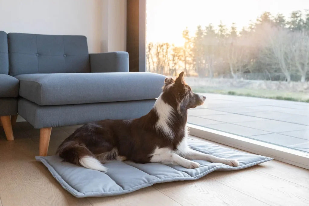 Classic Travel Dog Mat