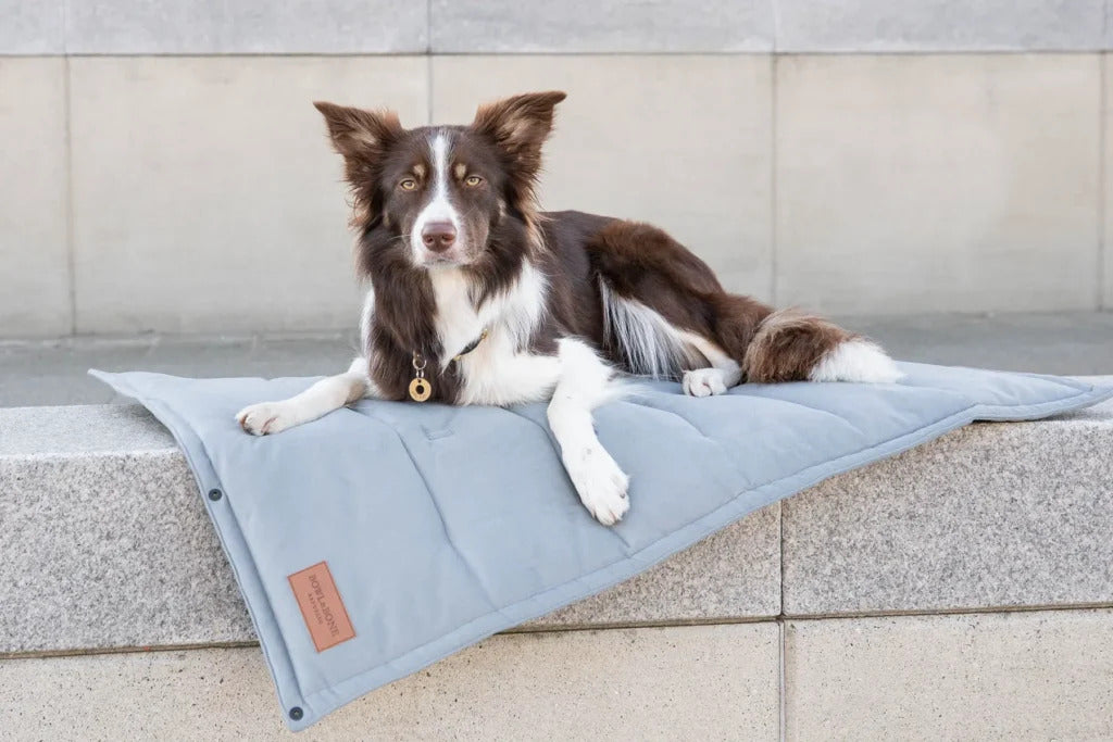 Classic Travel Dog Mat