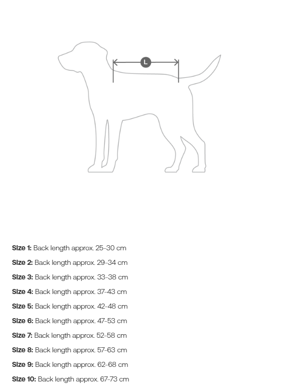 Valentina Dog Rain Coat - MiaCara
